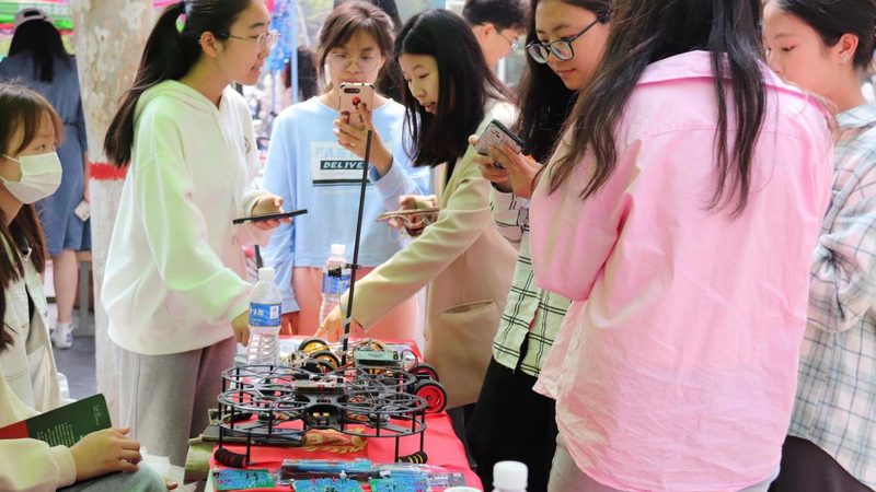 软件测试入门：关键步骤与注意事项